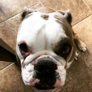 Meet your Posher, Elise